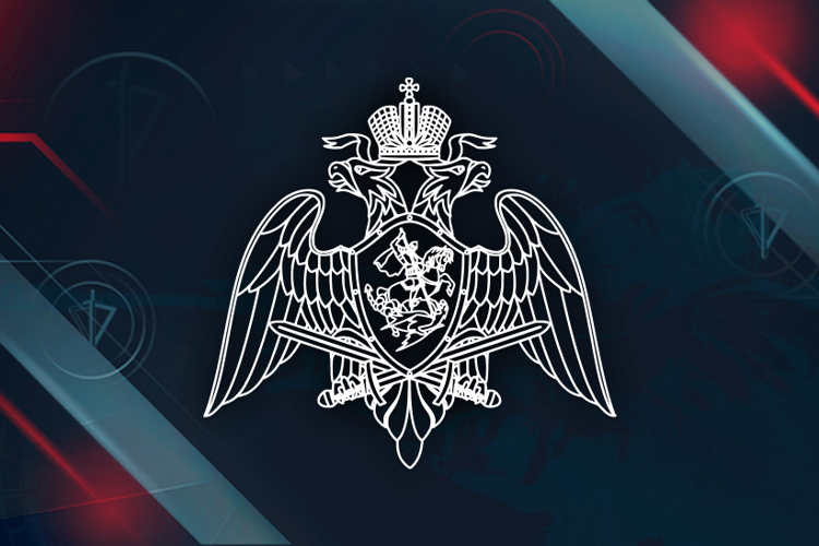 В Липецке сотрудники Росгвардии задержали участников драки у охраняемого объекта
